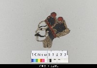 藏品(中國湖北皮影戲偶頭-生)的圖片